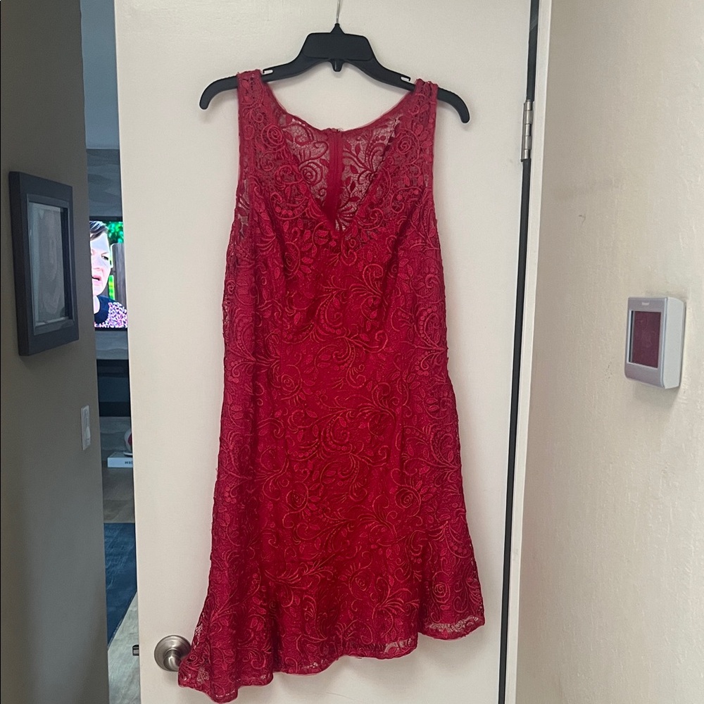 Adrianna Papell Red Lace Mini Dress